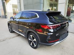 BYD Song Plus New Energy DM-i 51KM Premium Edition - ფოტო 5