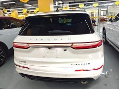 Lincoln Adventurer New Energy 2021 PHEV AWD e-Elegant - ფოტო 4