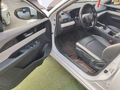 Dongfeng Fengshen E70 500 Super Comfort Edition - ფოტო 16