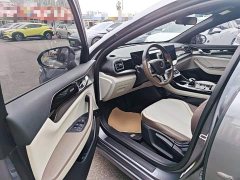 BYD Qin PLUS Glory Edition EV 510KM Leading - ფოტო 16