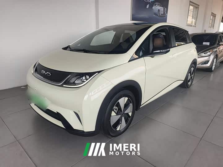 BYD Dolphin 420km Fashion Edition - ავტომობილი ჩინეთიდან