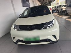 BYD Dolphin 420km Fashion Edition - ფოტო 3