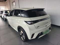 BYD Dolphin 420km Fashion Edition - ფოტო 5