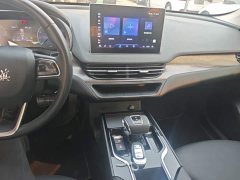 FAW Red Flag E-QM5 Facelift Base Mobility Edition - ფოტო 13