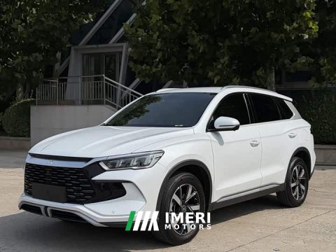 2024 BYD Song Pro New Energy DM-i 71KM Glory Edition Pilot - ავტომობილი ჩინეთიდან