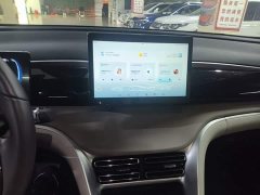 BYD Song Pro New Energy DM-i 71KM Glory Edition Pilot - ფოტო 9