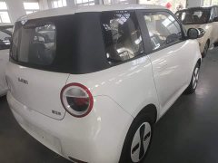 Changan Lumin Treasure Edition 205km Cool Love White CATL - ფოტო 7