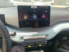 BYD Seagull Freedom Edition - ფოტო 13