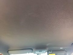 BYD Seagull Freedom Edition - ფოტო 18