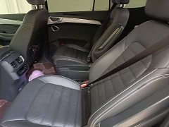 Volkswagen Langjing 380TSI AWD Luxury Jiajing Edition Pro 6-Seater - ფოტო 17