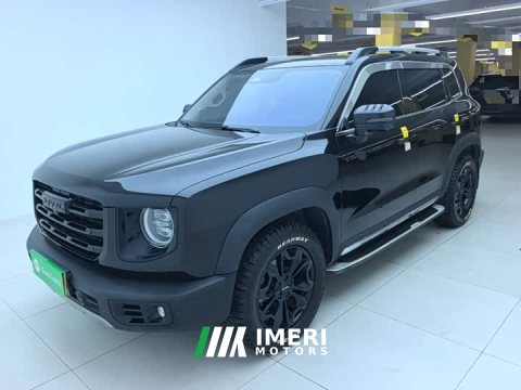2021 Great Wall Dachshund 2.0T DCT Four-Wheel Drive Chinese Rural Dog Edition - ავტომობილი ჩინეთიდან