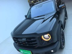 Great Wall Dachshund 2.0T DCT Four-Wheel Drive Chinese Rural Dog Edition - ფოტო 3