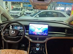 Denza BYD Denza D9 2024 DM-i 970 Luxury - ფოტო 10