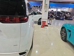 Denza BYD Denza D9 2024 DM-i 970 Luxury - ფოტო 8