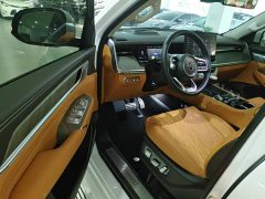 Tank 500 New Energy 2026 Hi4-T Smart Comfort Edition - ფოტო 16