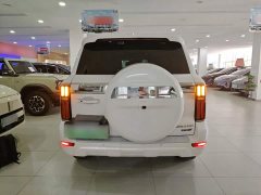 Tank 500 New Energy 2026 Hi4-T Smart Comfort Edition - ფოტო 6