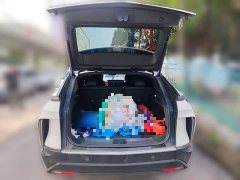Cadillac IQ Ruige 2024 Rear-Wheel Drive Standard Range Luxury Edition - ფოტო 10