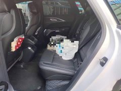 Cadillac IQ Ruige 2024 Rear-Wheel Drive Standard Range Luxury Edition - ფოტო 15