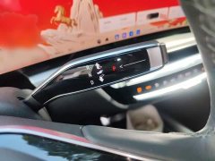 Cadillac IQ Ruige 2024 Rear-Wheel Drive Standard Range Luxury Edition - ფოტო 7