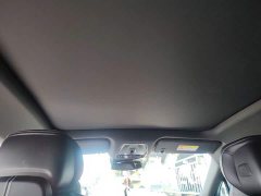 Cadillac IQ Ruige 2024 Rear-Wheel Drive Standard Range Luxury Edition - ფოტო 9