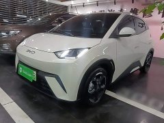 BYD Seagull Glory Edition 405km Flying Edition - ფოტო 1