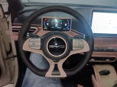 BYD Seagull Glory Edition 405km Flying Edition - ფოტო 11