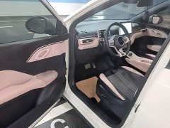 BYD Seagull Glory Edition 405km Flying Edition - ფოტო 16