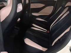 BYD Seagull Glory Edition 405km Flying Edition - ფოტო 17