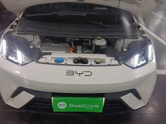 BYD Seagull Glory Edition 405km Flying Edition - ფოტო 20