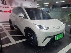 BYD Seagull Glory Edition 405km Flying Edition - ფოტო 4