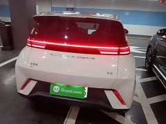 BYD Seagull Glory Edition 405km Flying Edition - ფოტო 6