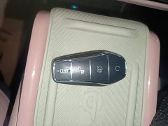 BYD Seagull Glory Edition 405km Flying Edition - ფოტო 9