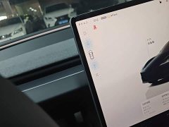 Tesla Model 3 Rear-Wheel Drive - ფოტო 14