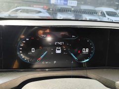 Changan Eado Enjoy Plus Blue Whale NE 1.4T GDI DCT Luxury Edition - ფოტო 12