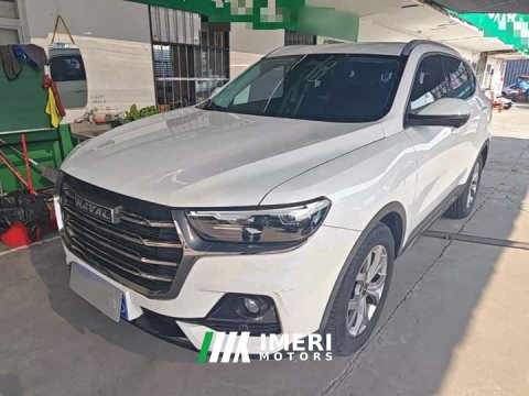 2021 Haval H6 National Trend 1.5T Automatic Champion Edition - ავტომობილი ჩინეთიდან