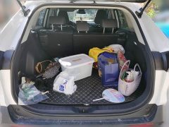 Toyota RAV4 2023 2.0L CVT FWD 20th Anniversary Platinum Edition - ფოტო 10