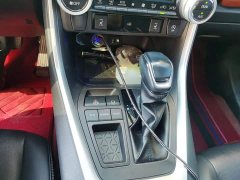Toyota RAV4 2023 2.0L CVT FWD 20th Anniversary Platinum Edition - ფოტო 7