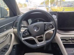 BYD Song Plus New Energy 2021 DM-i 51KM Premium Edition - ფოტო 3