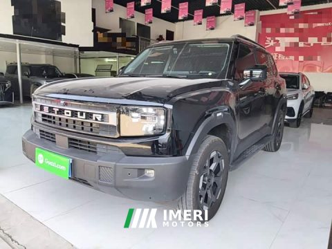 2025 Jetour Freedom 2.0TD XWD Cross Country - ავტომობილი ჩინეთიდან