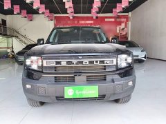 Jetour Freedom 2.0TD XWD Cross Country - ფოტო 3