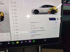 Tesla Model Y Rear-Wheel Drive - ფოტო 12
