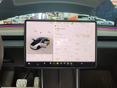 Tesla Model Y Rear-Wheel Drive - ფოტო 13