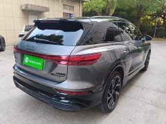 Audi Q5 e-tron 50 e-tron quattro edition one Edition - ფოტო 7
