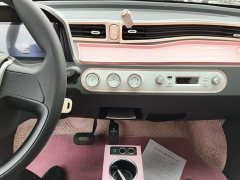 Wuling Hongguang MINIEV Macaron Sandwich Edition 170km Ternary Lithium - ფოტო 13