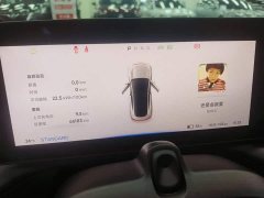 XPeng P7 480N - ფოტო 12