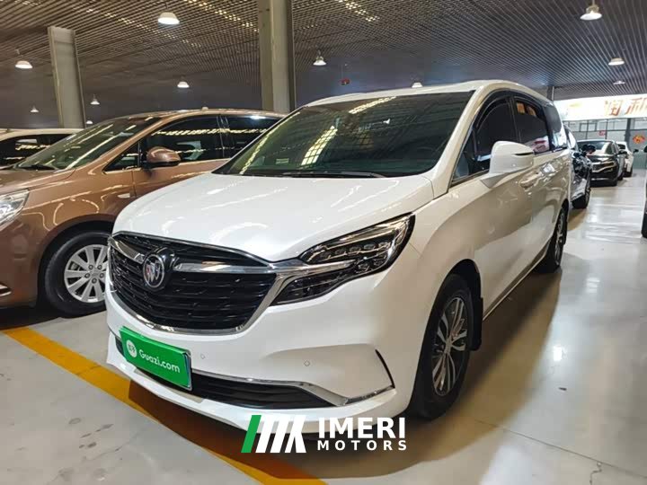 Buick GL8 ES Land Respect 653T Respect Enjoyment Edition