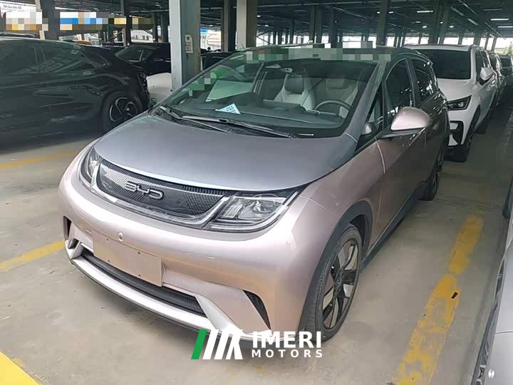 BYD Dolphin 401km Knight Edition