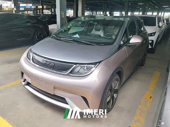 BYD Dolphin 401km Knight Edition