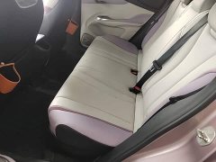 BYD Dolphin 401km Knight Edition - ფოტო 17