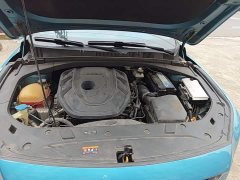 Geely Xingrui 2.0T Diesel Luxury - ფოტო 20